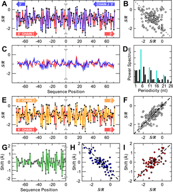 mapping backbone entropic strains