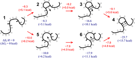 stemloop_thermodynamics