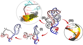 three levels of entropic freedom